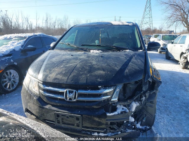 5FNRL5H46FB511810 Honda ODYSSEY EX