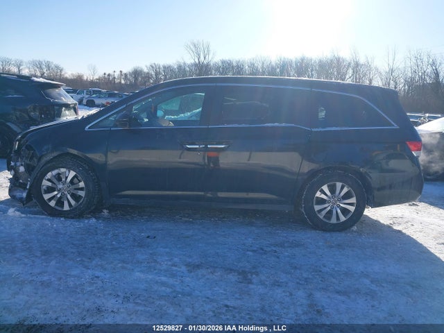 5FNRL5H46FB511810 Honda ODYSSEY EX