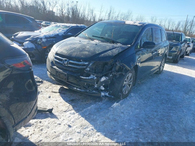 5FNRL5H46FB511810 Honda ODYSSEY EX