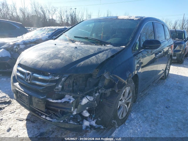 5FNRL5H46FB511810 Honda ODYSSEY EX
