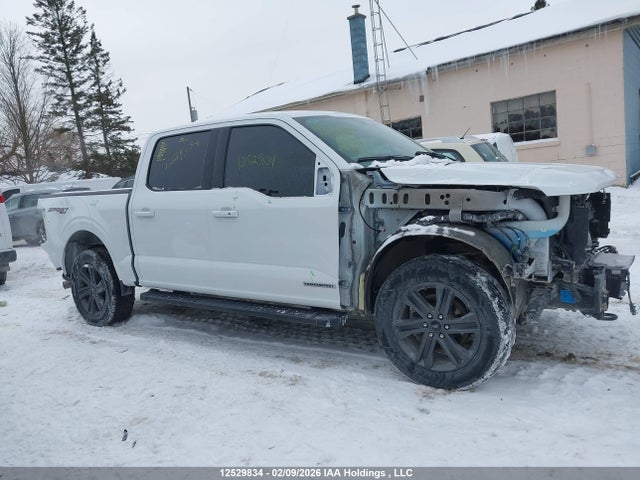 Aukcja sprzedaży 2023 Ford F-150, vin: 1FTFW1EDXPFD00615, numer aukcji: 12529834