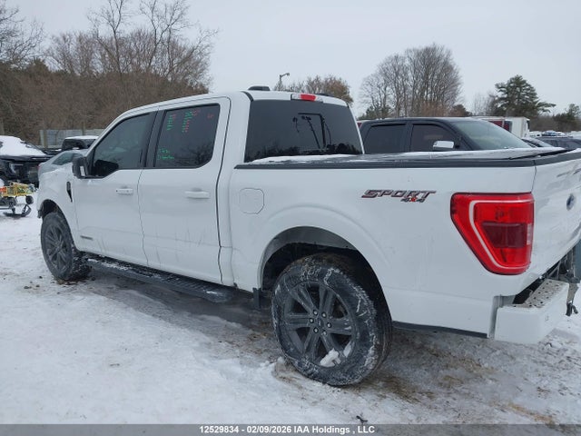 Aukcja sprzedaży 2023 Ford F-150, vin: 1FTFW1EDXPFD00615, numer aukcji: 12529834