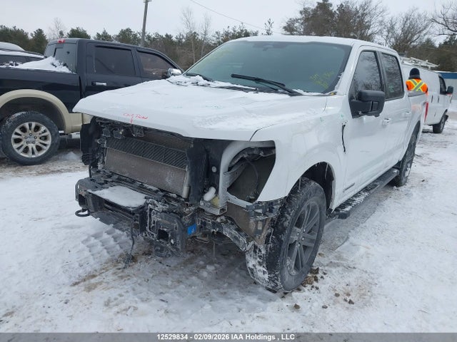 Aukcja sprzedaży 2023 Ford F-150, vin: 1FTFW1EDXPFD00615, numer aukcji: 12529834