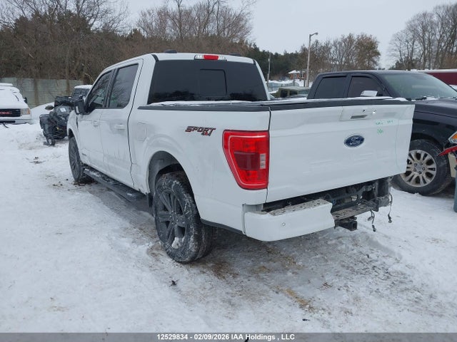 Aukcja sprzedaży 2023 Ford F-150, vin: 1FTFW1EDXPFD00615, numer aukcji: 12529834