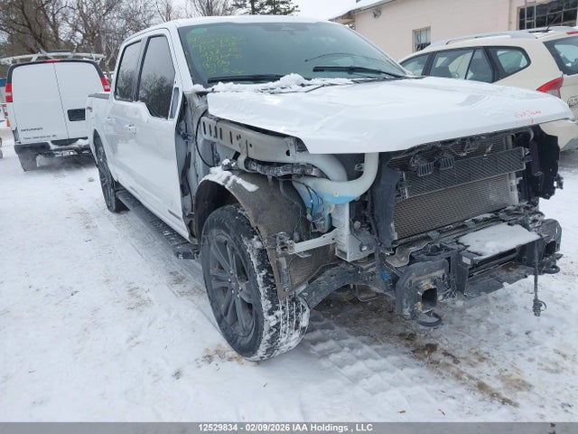 Aukcja sprzedaży 2023 Ford F-150, vin: 1FTFW1EDXPFD00615, numer aukcji: 12529834