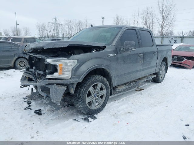 Продажа на аукционе авто 2019 Ford F-150 Xlt, vin: 1FTEW1E59KFD02871, номер лота: 12529869
