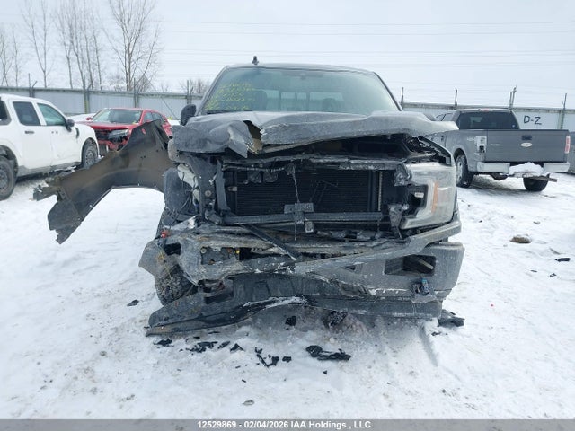 Продажа на аукционе авто 2019 Ford F-150 Xlt, vin: 1FTEW1E59KFD02871, номер лота: 12529869