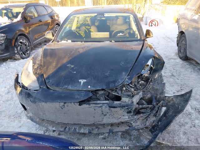 LRW3E1FA3PC920974 Tesla Model 3 Rwd