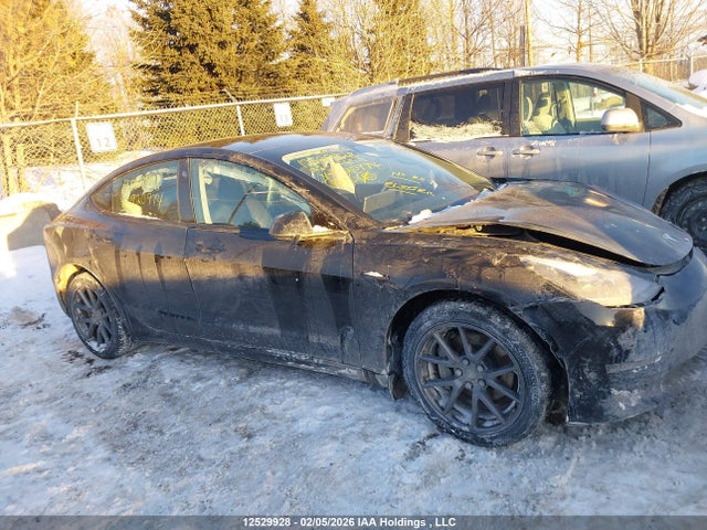 LRW3E1FA3PC920974 Tesla Model 3 Rwd