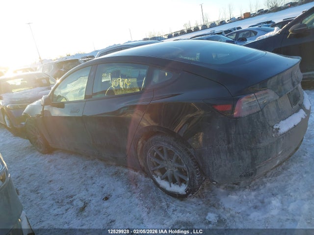 LRW3E1FA3PC920974 Tesla Model 3 Rwd