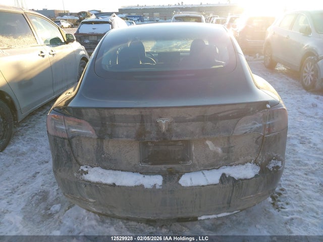LRW3E1FA3PC920974 Tesla Model 3 Rwd