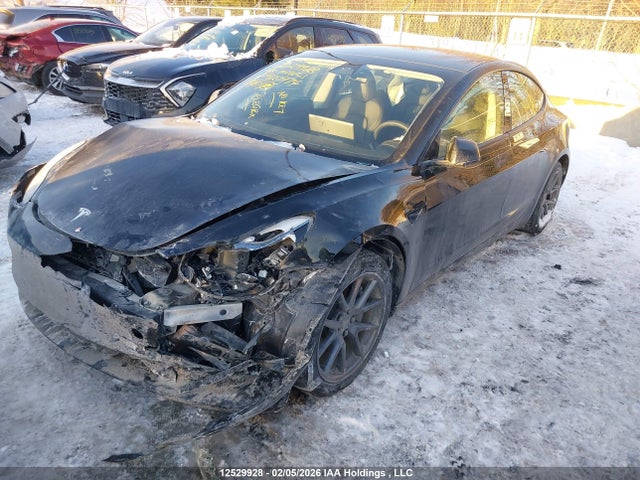 LRW3E1FA3PC920974 Tesla Model 3 Rwd