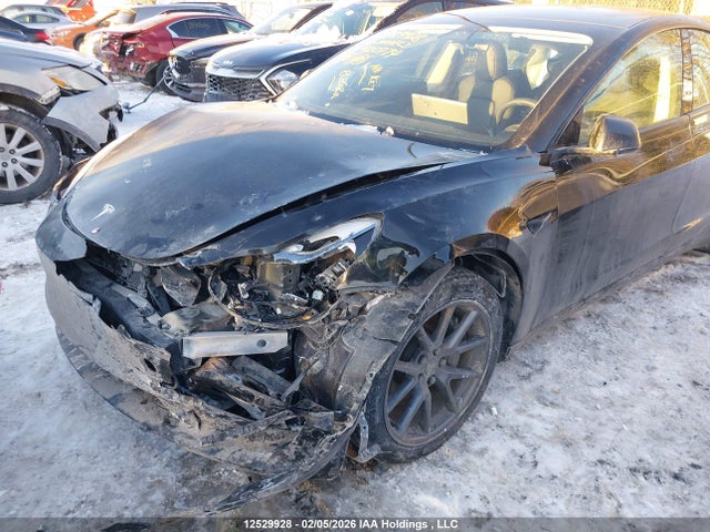 LRW3E1FA3PC920974 Tesla Model 3 Rwd