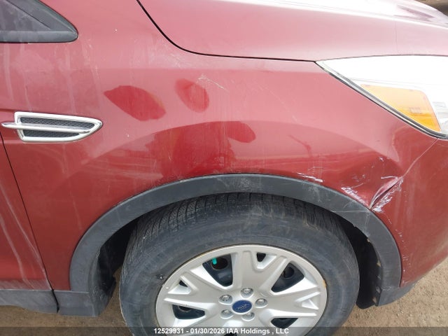 Aukcja sprzedaży 2014 Ford Escape S, vin: 1FMCU0F76EUA17113, numer aukcji: 12529931