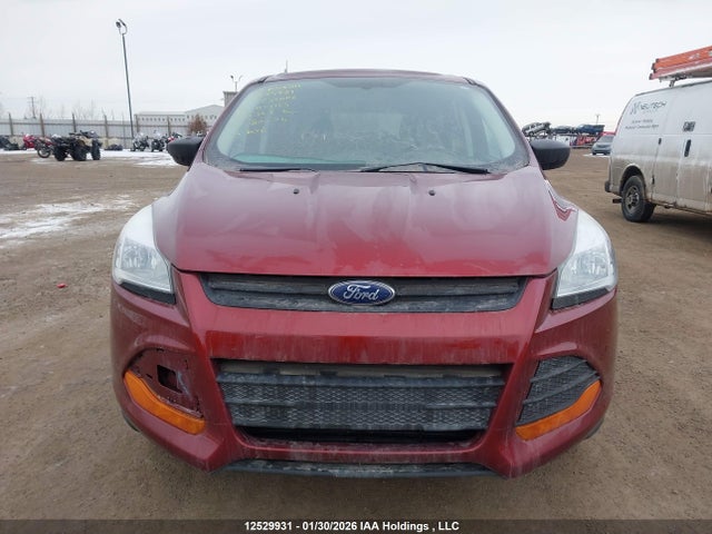 Aukcja sprzedaży 2014 Ford Escape S, vin: 1FMCU0F76EUA17113, numer aukcji: 12529931