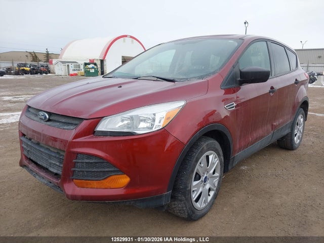 Aukcja sprzedaży 2014 Ford Escape S, vin: 1FMCU0F76EUA17113, numer aukcji: 12529931