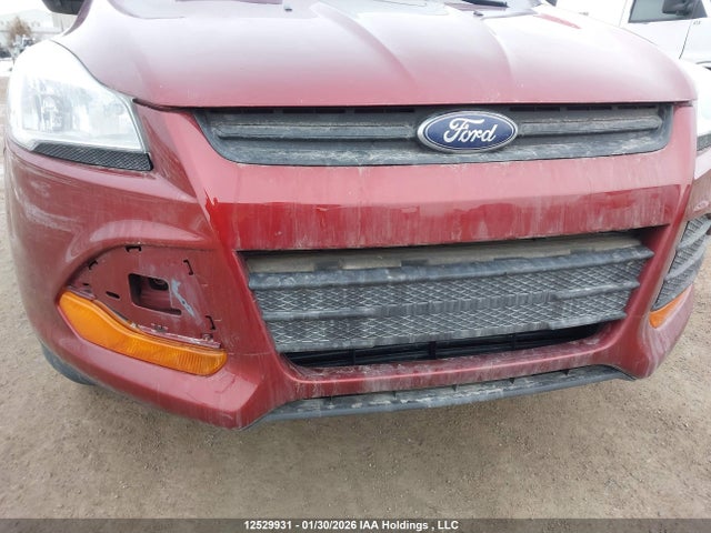 Aukcja sprzedaży 2014 Ford Escape S, vin: 1FMCU0F76EUA17113, numer aukcji: 12529931