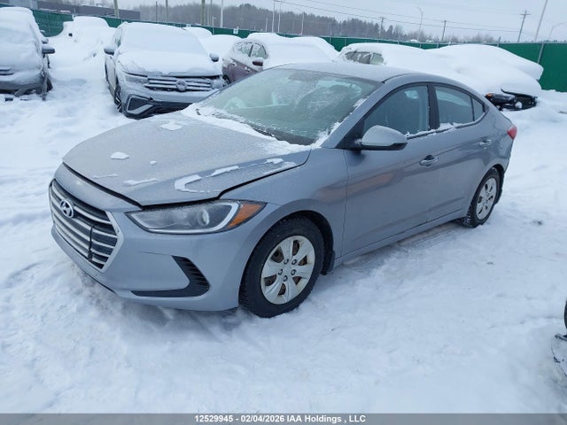 5NPD74LFXHH054988 Hyundai Elantra L