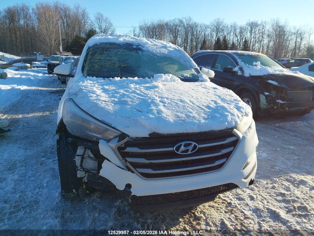 Hyundai Tucson 2017 KM8J2CA40HU560537 Image 12