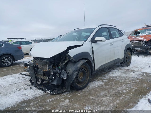 KM8K2CAA4LU447838 Hyundai Kona Sel