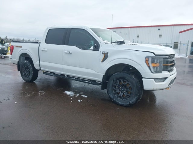 12530059 :رقم المزاد ، 1FTEW1E81PFA62717 vin ، 2023 Ford F150 Supercrew مزاد بيع