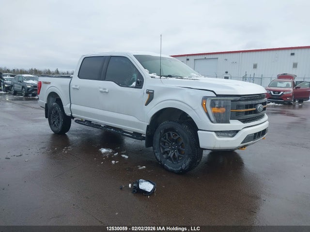 12530059 :رقم المزاد ، 1FTEW1E81PFA62717 vin ، 2023 Ford F150 Supercrew مزاد بيع