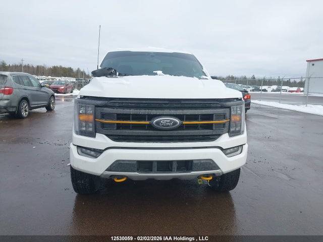 12530059 :رقم المزاد ، 1FTEW1E81PFA62717 vin ، 2023 Ford F150 Supercrew مزاد بيع