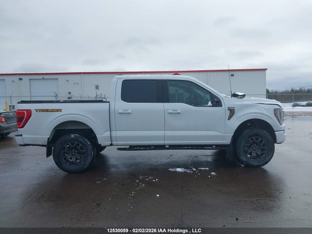 12530059 :رقم المزاد ، 1FTEW1E81PFA62717 vin ، 2023 Ford F150 Supercrew مزاد بيع