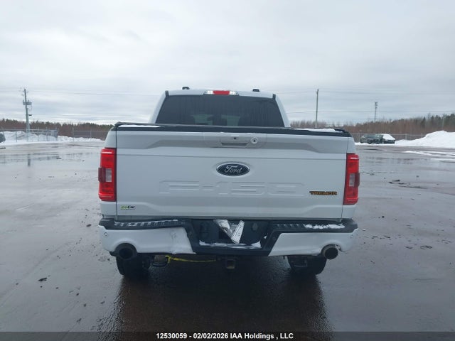 12530059 :رقم المزاد ، 1FTEW1E81PFA62717 vin ، 2023 Ford F150 Supercrew مزاد بيع