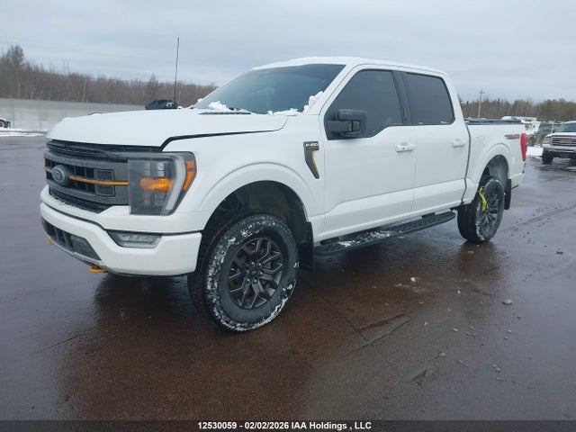 12530059 :رقم المزاد ، 1FTEW1E81PFA62717 vin ، 2023 Ford F150 Supercrew مزاد بيع