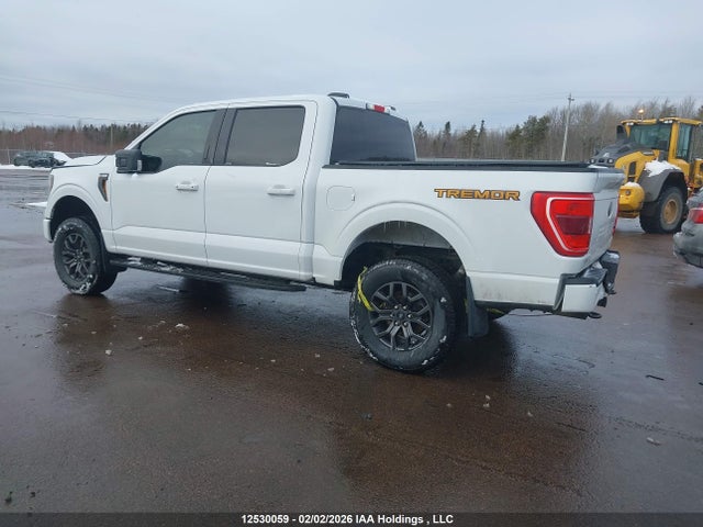 12530059 :رقم المزاد ، 1FTEW1E81PFA62717 vin ، 2023 Ford F150 Supercrew مزاد بيع