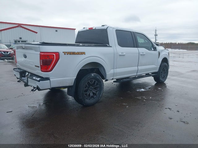 12530059 :رقم المزاد ، 1FTEW1E81PFA62717 vin ، 2023 Ford F150 Supercrew مزاد بيع