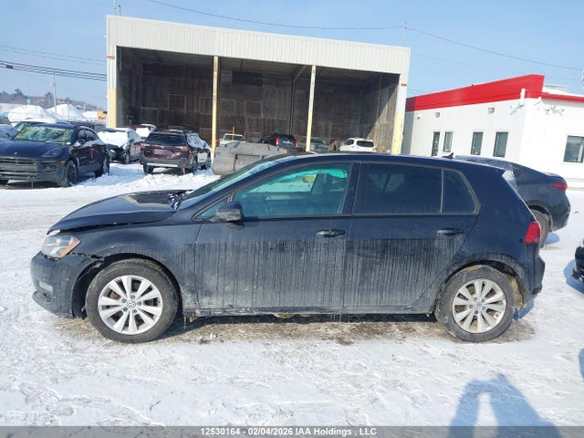 3VW117AU7GM068229 Volkswagen GOLF S