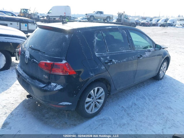 3VW117AU7GM068229 Volkswagen GOLF S