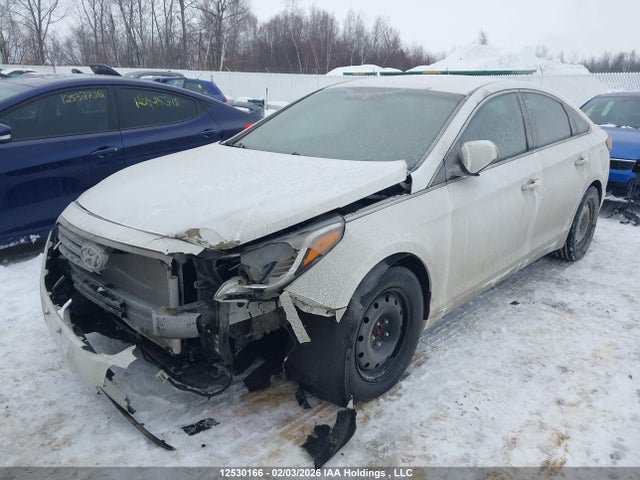 5NPE24AF0HH501334 Hyundai Sonata