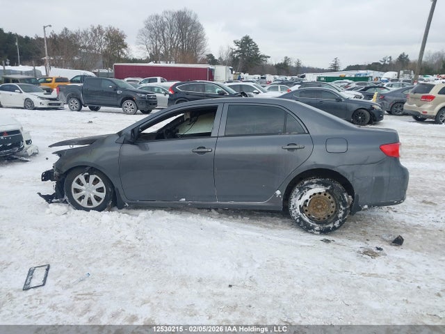 12530215 :رقم المزاد ، 2T1BU4EE2BC613092 vin ، 2011 Toyota Corolla Ce مزاد بيع