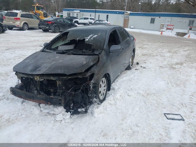 12530215 :رقم المزاد ، 2T1BU4EE2BC613092 vin ، 2011 Toyota Corolla Ce مزاد بيع