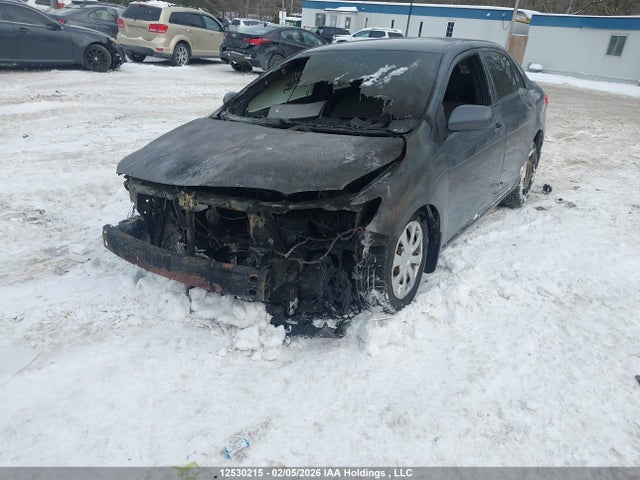 12530215 :رقم المزاد ، 2T1BU4EE2BC613092 vin ، 2011 Toyota Corolla Ce مزاد بيع