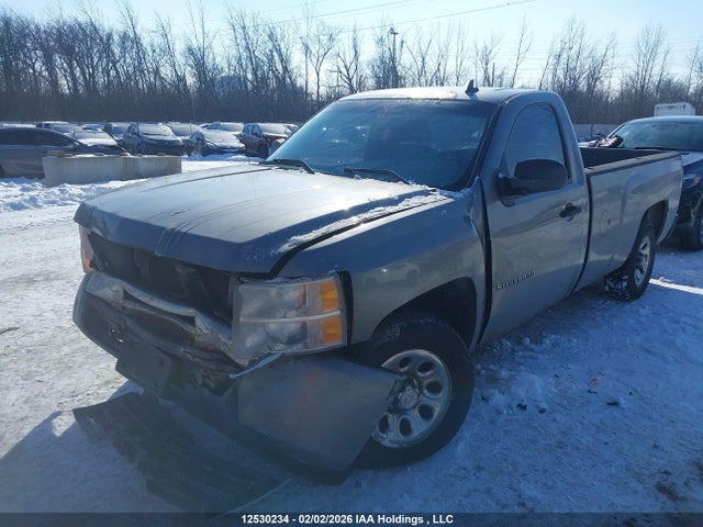 2009 Chevrolet Silverado C1500 მანქანა იყიდება აუქციონზე, vin: 1GCEC14X79Z247860, აუქციონის ნომერი: 12530234