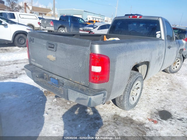 2009 Chevrolet Silverado C1500 მანქანა იყიდება აუქციონზე, vin: 1GCEC14X79Z247860, აუქციონის ნომერი: 12530234