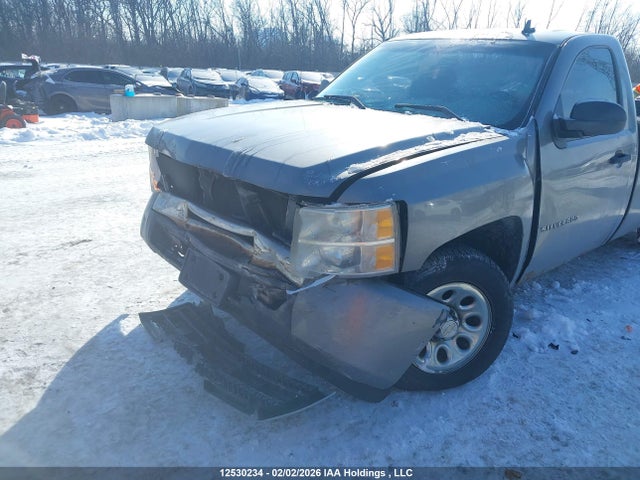 2009 Chevrolet Silverado C1500 მანქანა იყიდება აუქციონზე, vin: 1GCEC14X79Z247860, აუქციონის ნომერი: 12530234