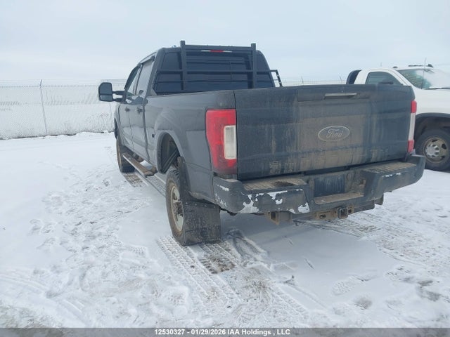 Ford F350 Super Duty 2017 1FT8W3BT7HEE76562 Image 3