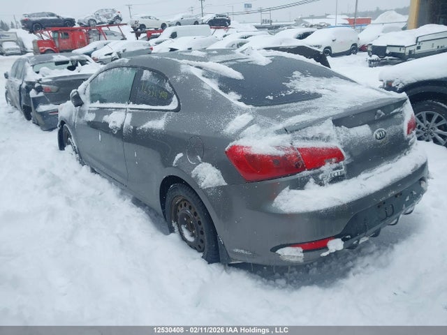 KNAFX6A84F5302882 KIA FORTE EX