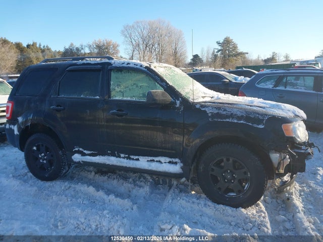 12530450 :رقم المزاد ، 1FMCU93GX9KC55315 vin ، 2009 Ford Escape Xlt مزاد بيع