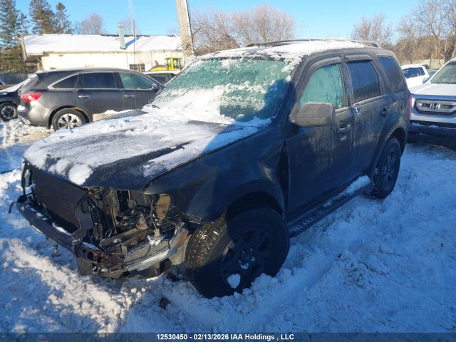 12530450 :رقم المزاد ، 1FMCU93GX9KC55315 vin ، 2009 Ford Escape Xlt مزاد بيع