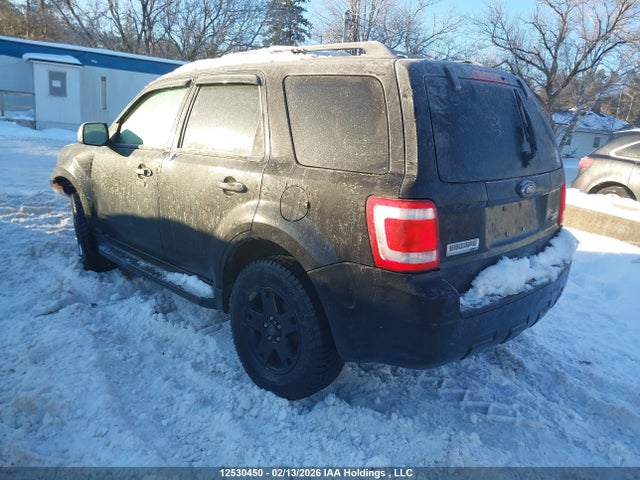 12530450 :رقم المزاد ، 1FMCU93GX9KC55315 vin ، 2009 Ford Escape Xlt مزاد بيع