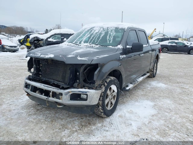 1FTFW1E51JFB15854 Ford F-150 Xlt