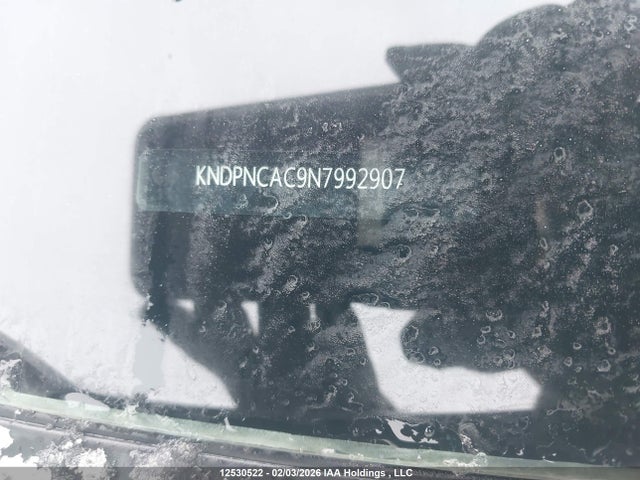 KNDPNCAC9N7992907 KIA Sportage Ex