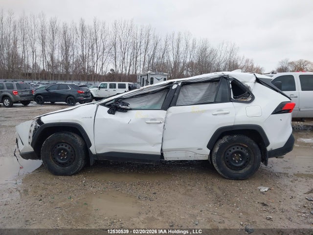 2021 Toyota Rav4 Le მანქანა იყიდება აუქციონზე, vin: 2T3BWRFV3MW106460, აუქციონის ნომერი: 12530539