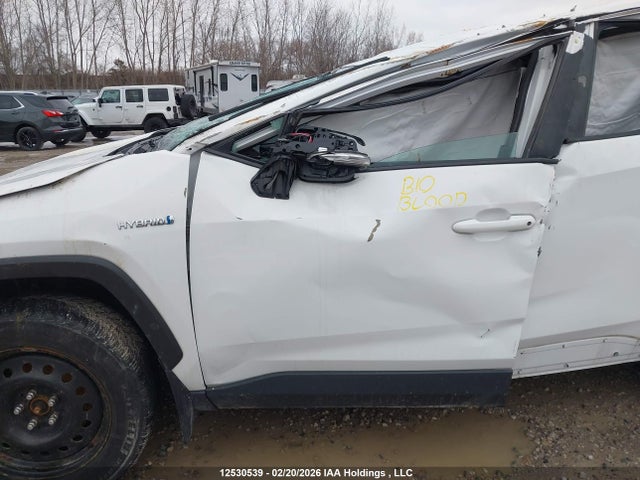 2021 Toyota Rav4 Le მანქანა იყიდება აუქციონზე, vin: 2T3BWRFV3MW106460, აუქციონის ნომერი: 12530539